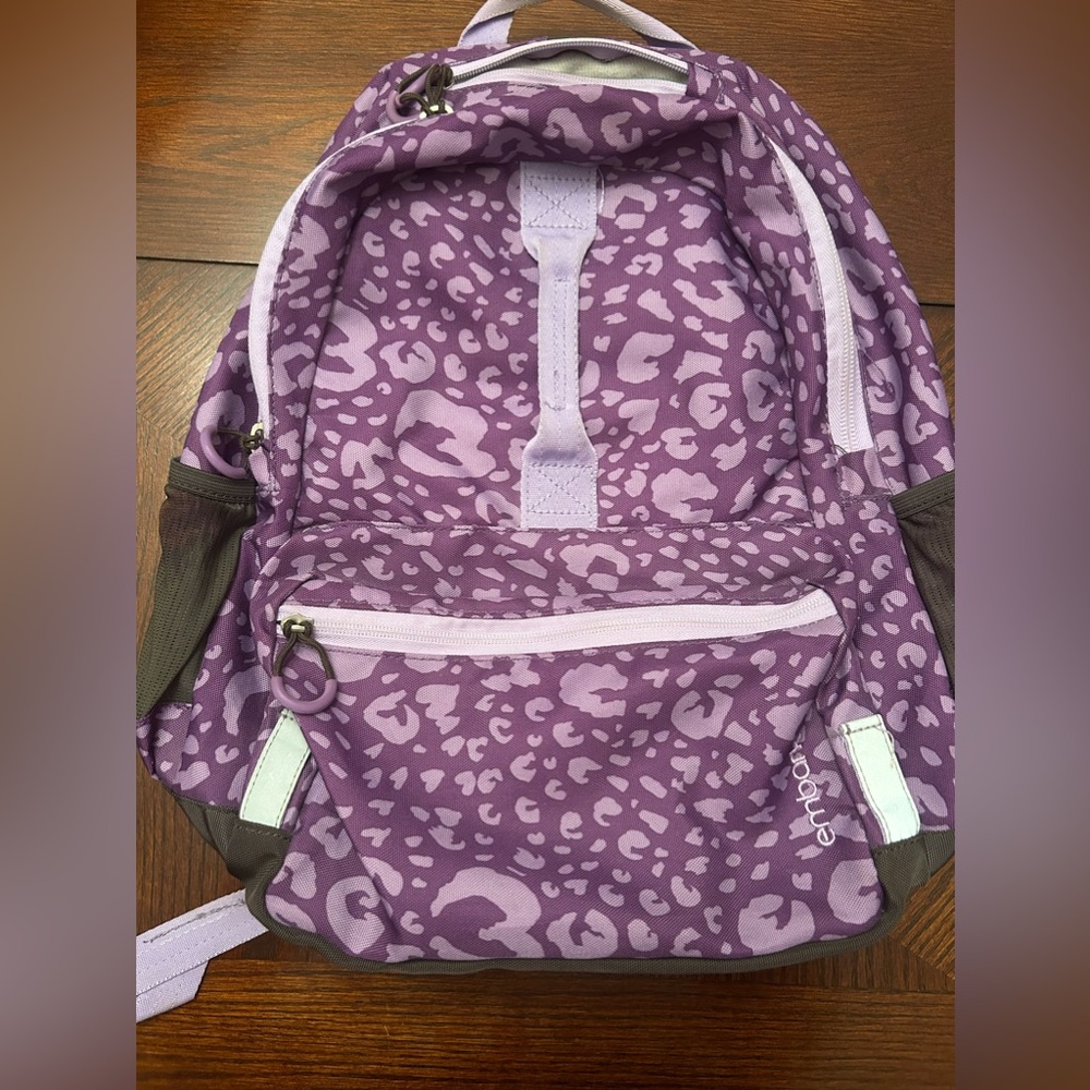 Embark Purple Backpack